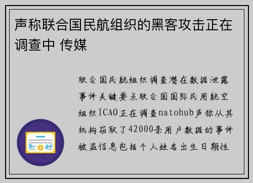 声称联合国民航组织的黑客攻击正在调查中 传媒