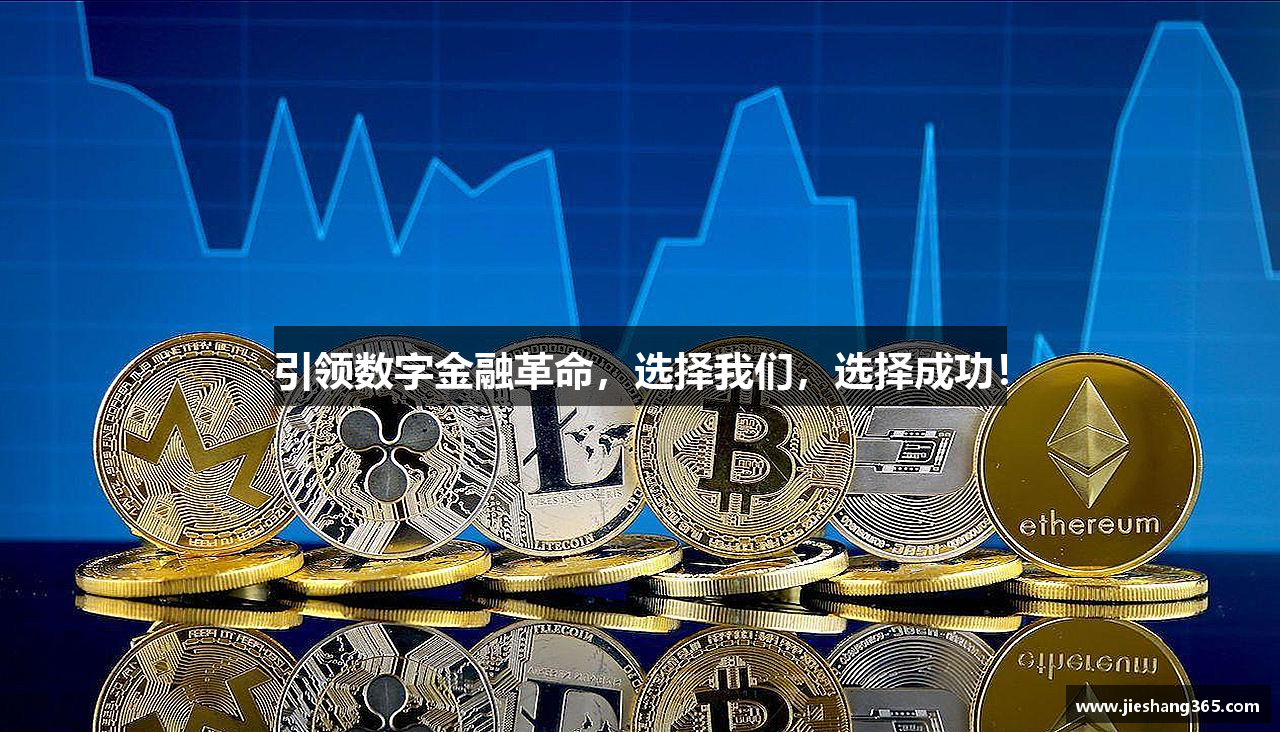 引领数字金融革命，选择我们，选择成功！